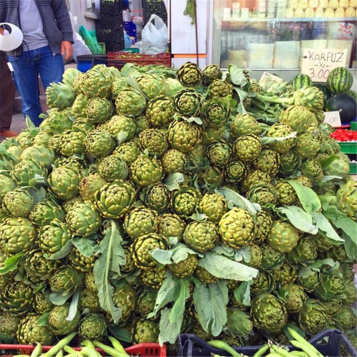 Günübirlik Urla Enginar Festivali Turu