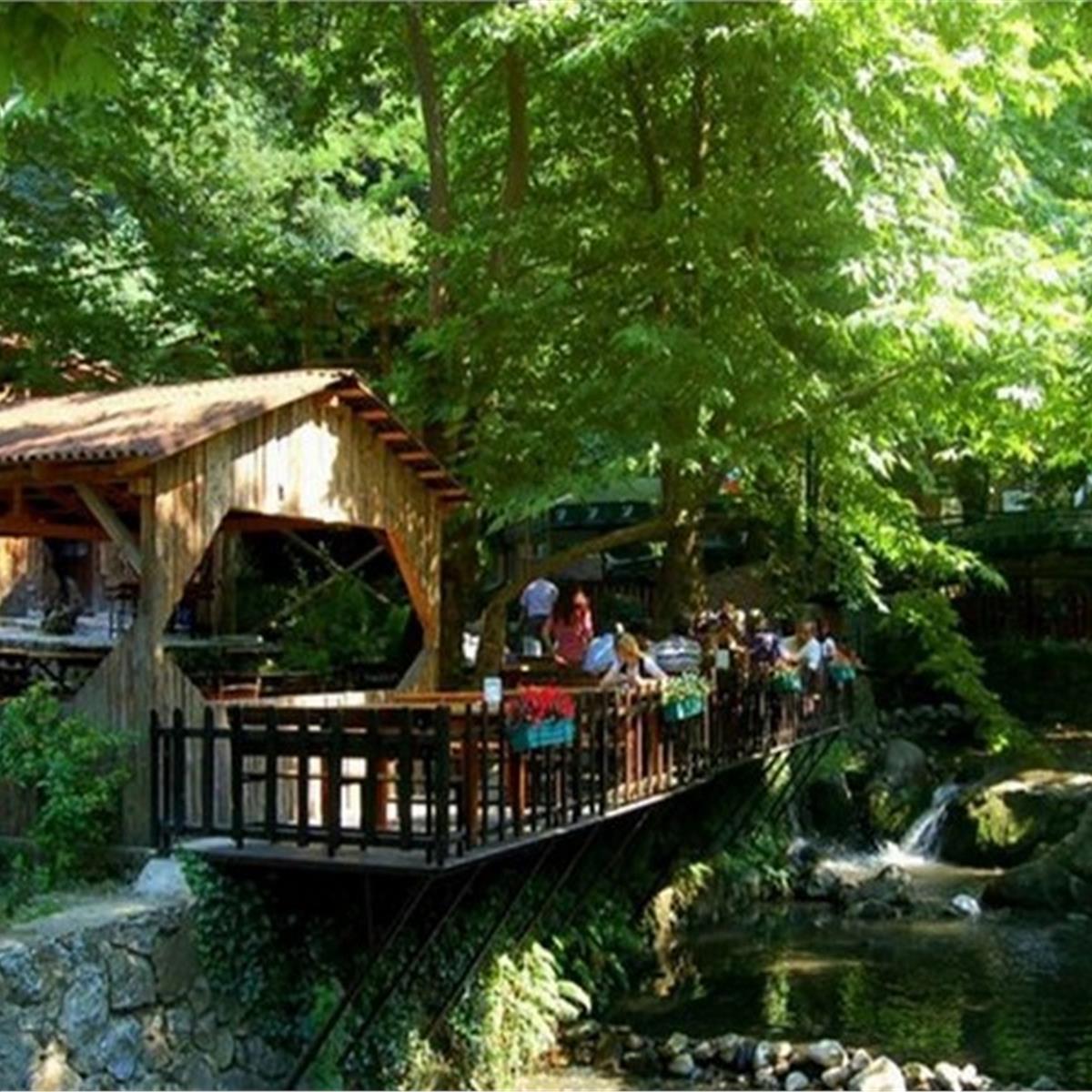 bolu maşukiye kartalkaya kayak turu 10