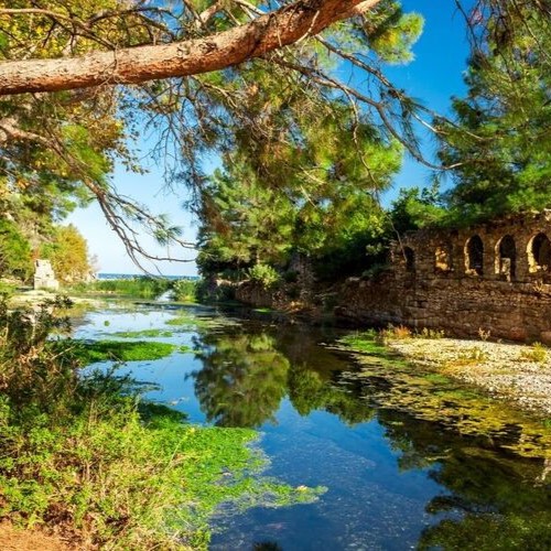 ADRASAN SULUADA KAŞ TURU 5