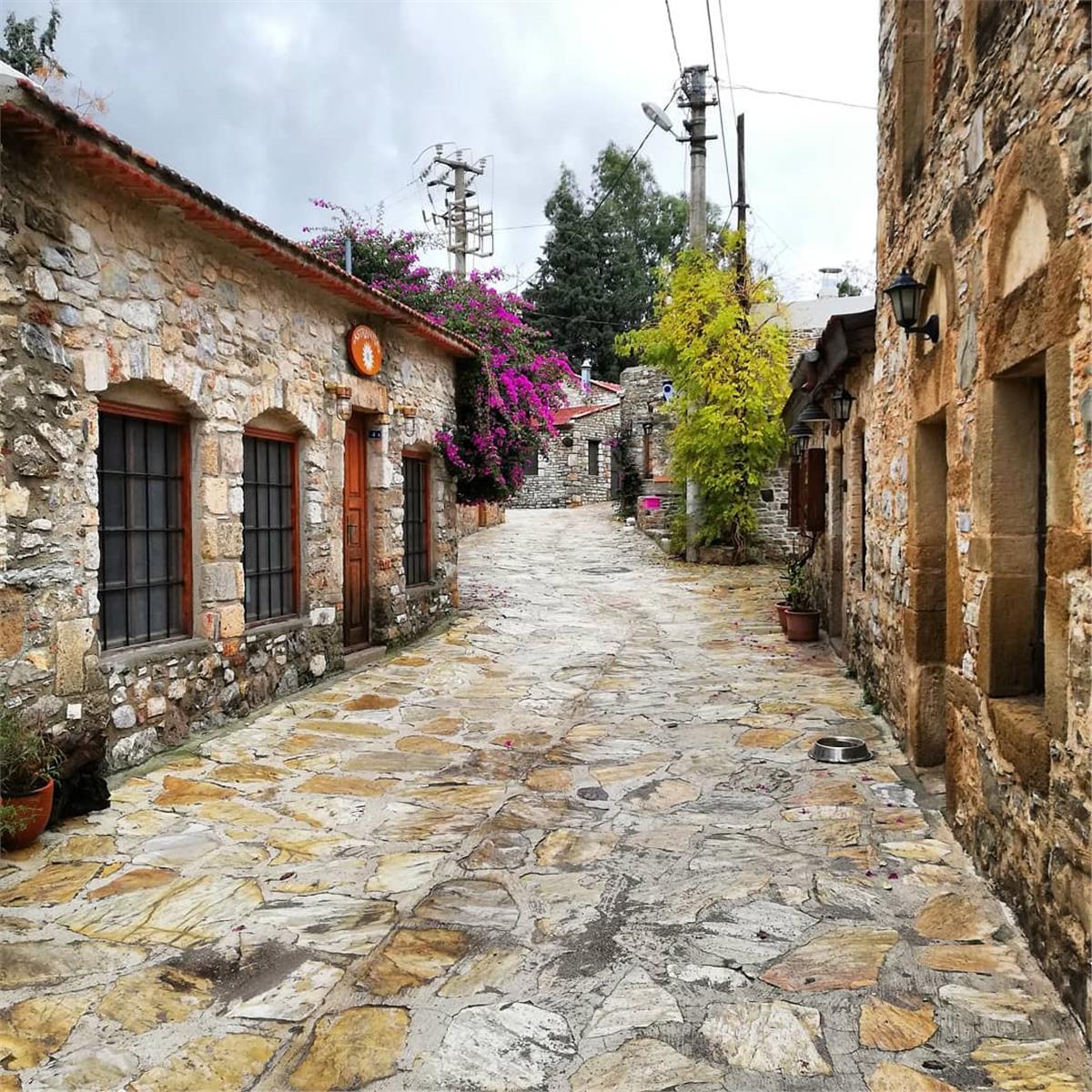 izmir çıkışlı günübirlik Datça badem çiçeği festivali turu