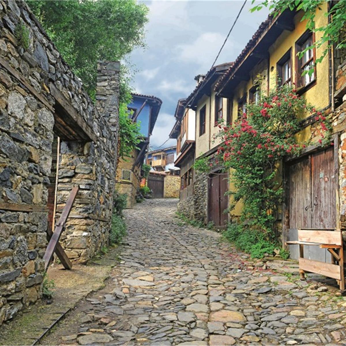 cumalıkız sokak görünüm