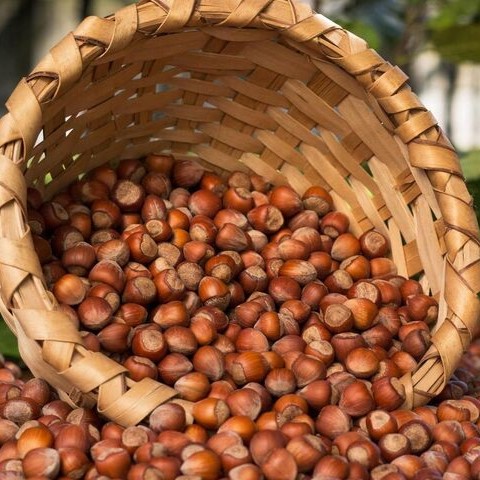  BOYDAN BOYA KARADENIZ RÜYASI VE BATUM TURU 24